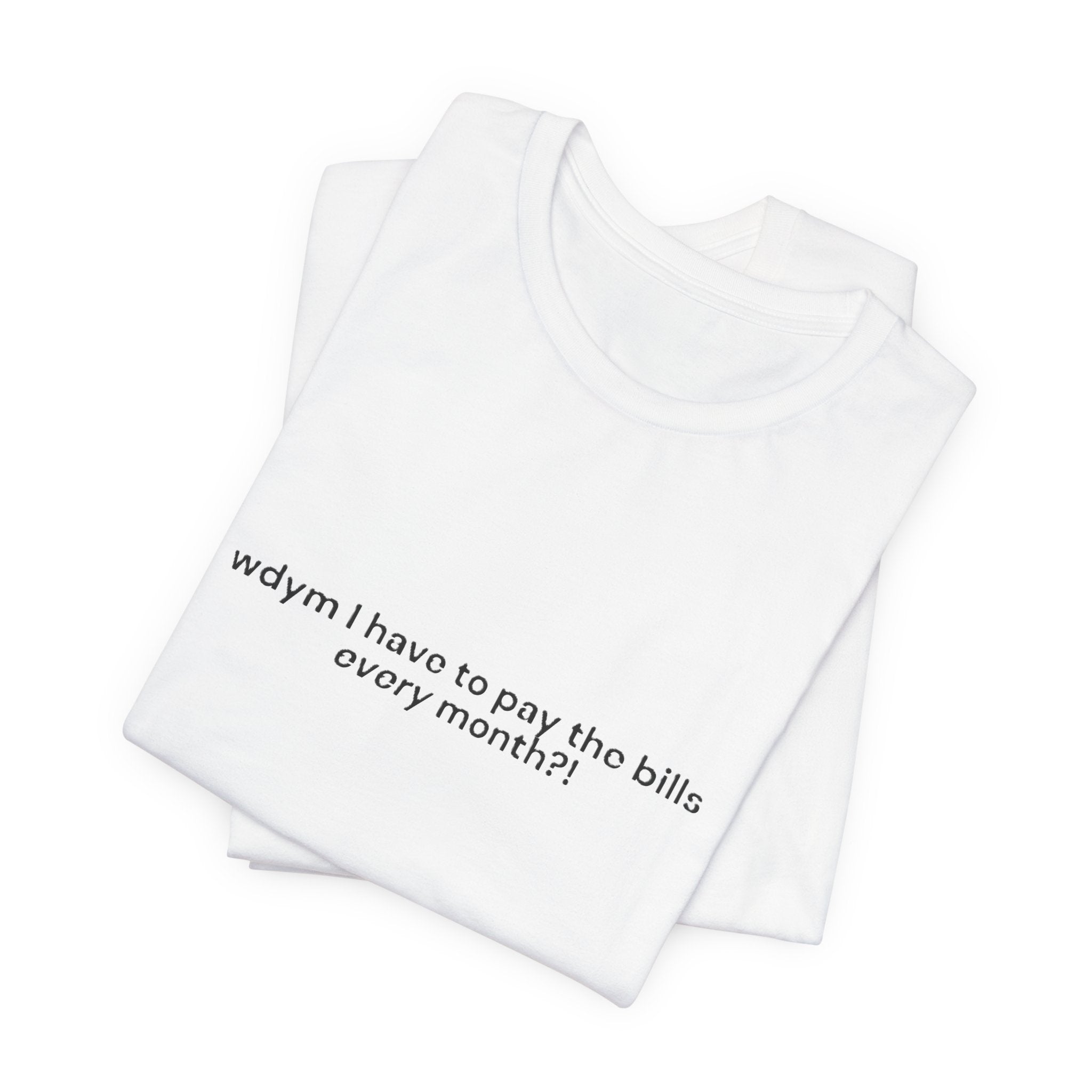 wdym I have to pay the bills